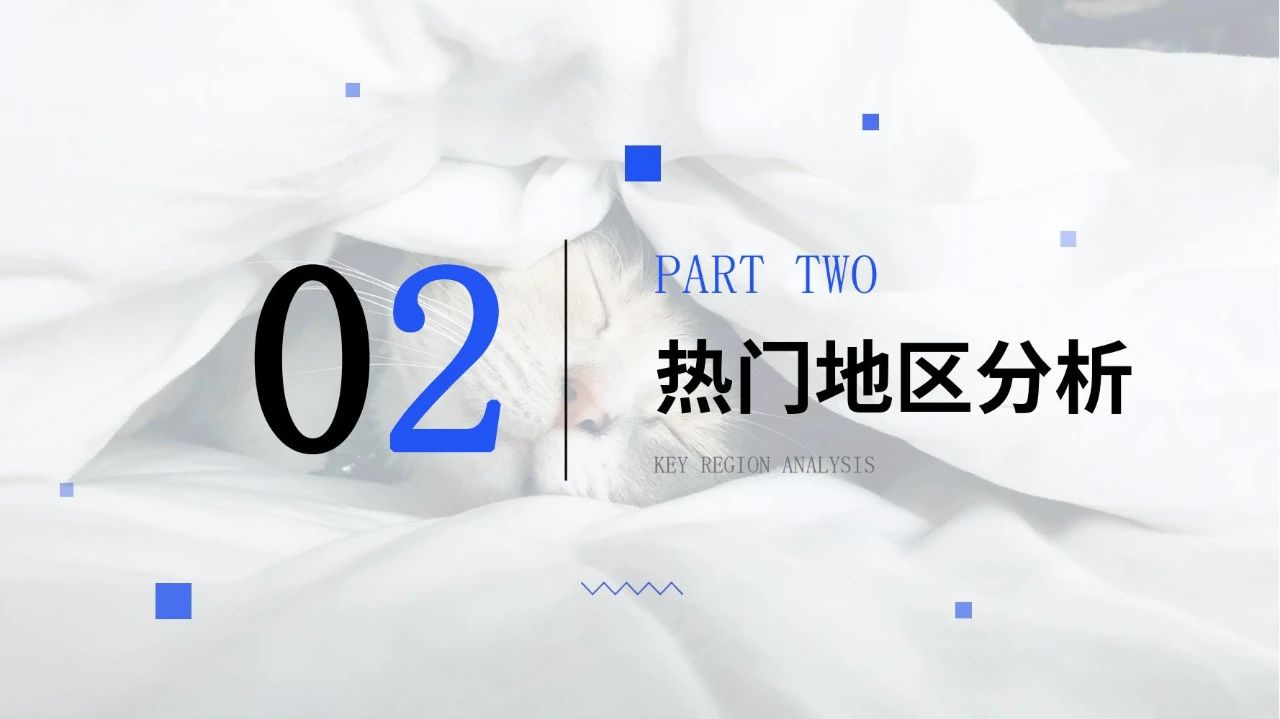 宠物经济爆发！2024宠物用品市场发展趋势大揭秘！插图13